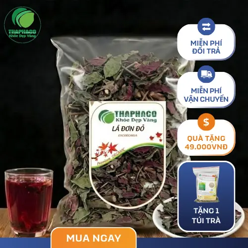 Lá Đơn Đỏ sấy khô chất lượng cao từ ThaphaCo