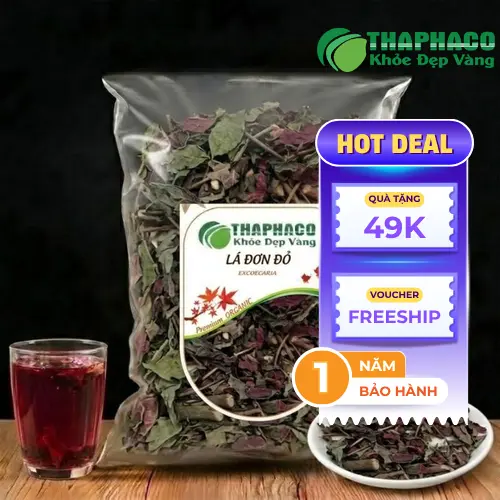 Lá đơn đỏ khô chất lượng cao của THAPHACO