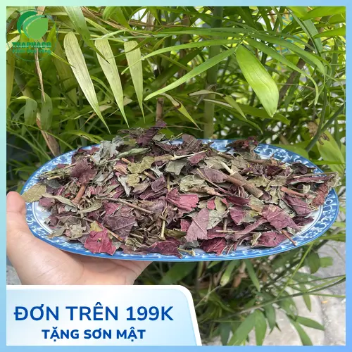Lá dơn đỏ sấy khô THAPHACO đóng gói tiện lợi