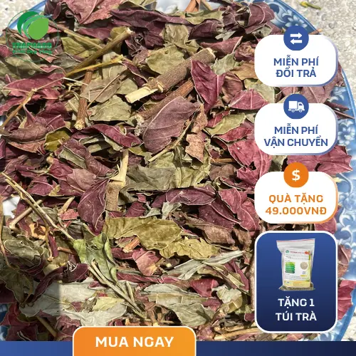 Hướng dẫn sử dụng lá đơn đỏ hiệu quả