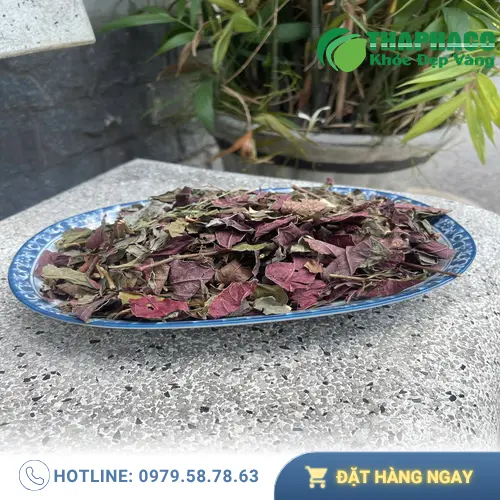 Sản phẩm lá đơn đỏ sấy khô ThaphaCo, đóng gói túi 1kg chuẩn SEO