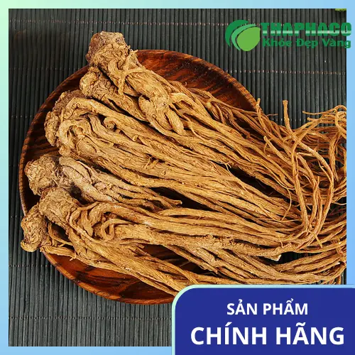 Đương quy khô THAPHACO, lát đương quy khô chất lượng