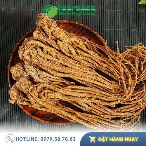 Đương quy khô