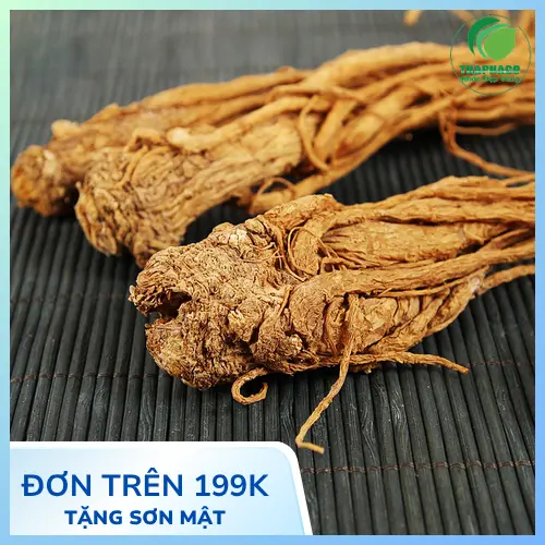 Các hình thức chế biến đương quy đa dạng từ sắc thuốc đến ngâm rượu