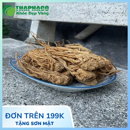 Đương quy sắc nước, đương quy nấu ăn