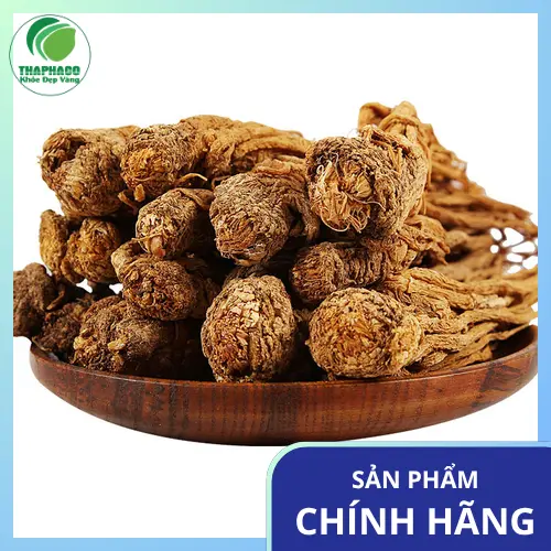 Đương quy khô chất lượng