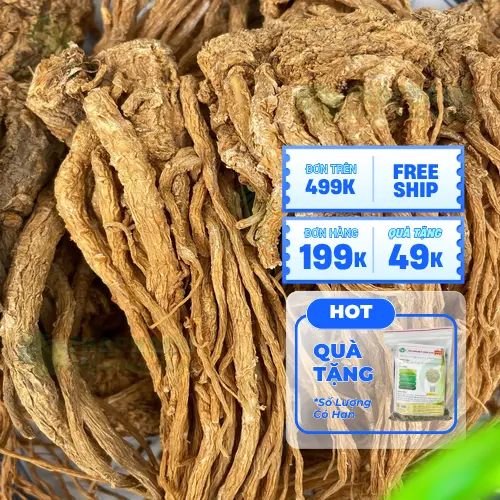 Đương quy túi 1kg