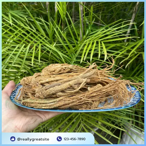 Đương quy THAPHACO được đóng gói cẩn thận, đảm bảo chất lượng