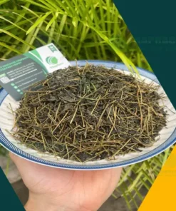 Địa chỉ bán giảo cổ lam uy tín tại TP.HCM