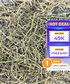 Địa chỉ bán sỉ Giảo Cổ Lam tại TP.HCM – THAPHACO Uy Tín