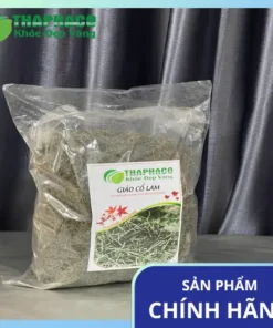 Giảo Cổ Lam Thapaco: Địa Chỉ Bán Sỉ Chất Lượng Uy Tín TP.HCM