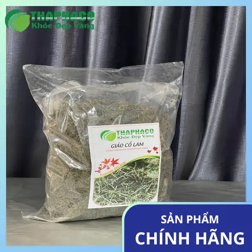 Vùng nguyên liệu giảo cổ lam sạch của Thapaco tại TP.HCM