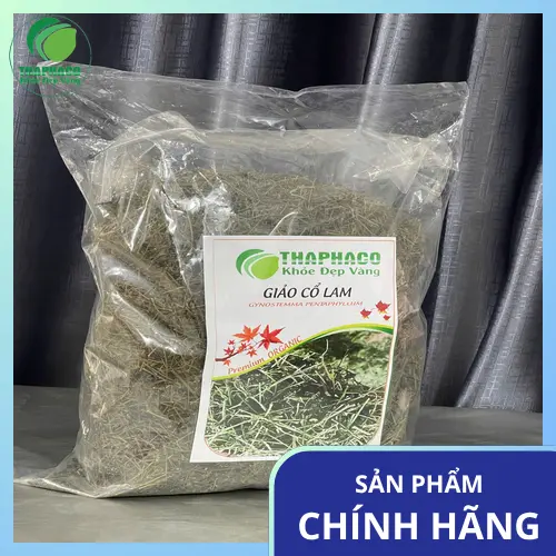 Giảo cổ lam khô chất lượng cao