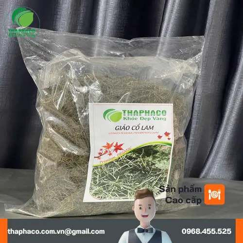 Giảo cổ lam sấy khô chất lượng cao của Thapaco