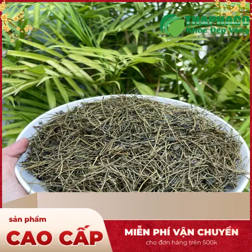 Thận trọng khi dùng Giảo cổ lam cho người bệnh gan