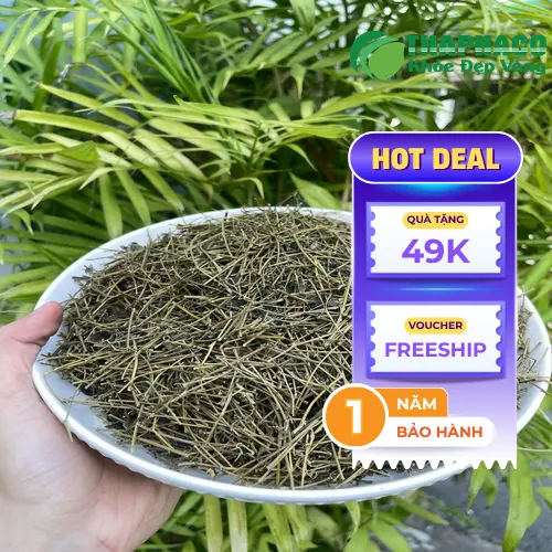 Giảo cổ lam đóng gói tại THAPHACO