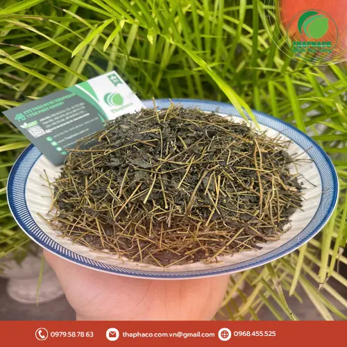 Giá sỉ giảo cổ lam cạnh tranh tại Thapaco TP.HCM