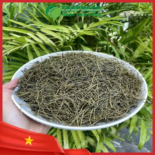Cách dùng Giảo cổ lam đúng cách cho người bệnh gan
