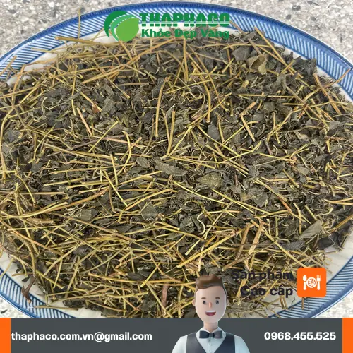 Chất lượng giảo cổ lam tại THAPHACO