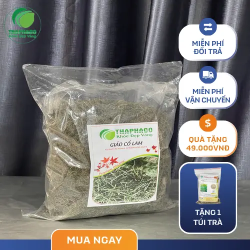 Giảo Cổ Lam khô được bảo quản đúng cách trong bao bì của THAPHACO