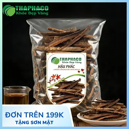 Hình ảnh hậu phác khô đã được sơ chế và chuẩn bị đóng gói, thể hiện chất lượng cao.