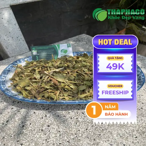 Cây Hoàn Ngọc và những công dụng tiềm năng