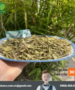 Chỗ Bán Hoàn Ngọc Khô Tại TP.HCM | Uy Tín, Chất Lượng THAPHACO