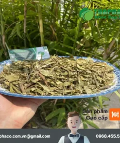 Chỗ Bán Hoàn Ngọc Khô Tại TP.HCM Chất Lượng, Uy Tín - Thaphaco