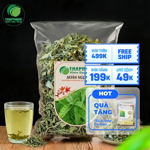 Phân tích khoa học về Hoàn Ngọc và tiểu đường