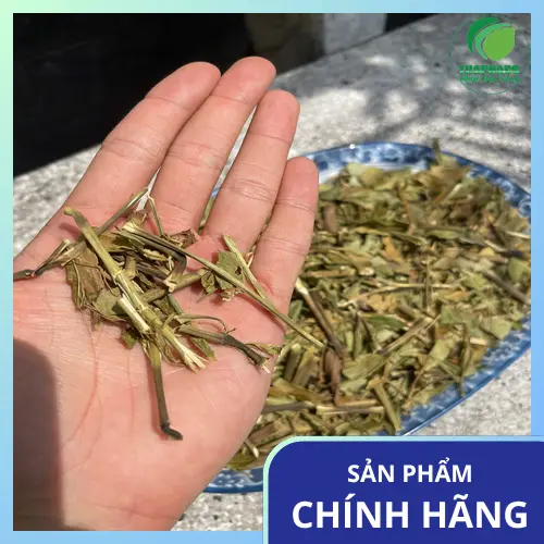Trà Hoàn Ngọc sấy khô dạng túi tiện lợi của THAPHACO