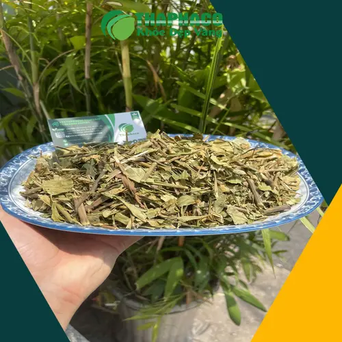Hoàn Ngọc sấy khô chất lượng từ Thaphaco