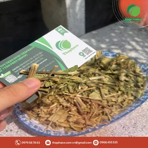 Các quy cách đóng gói Hoàn Ngọc sấy khô của THAPHACO