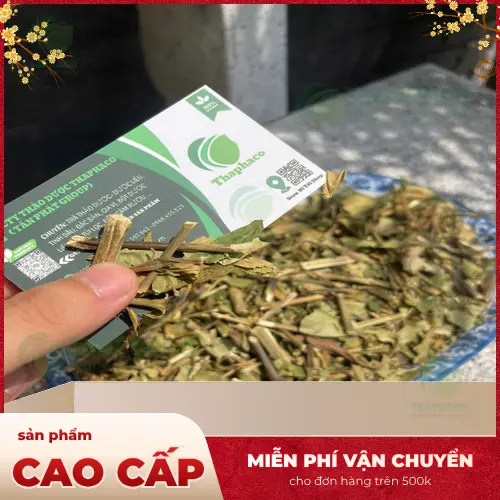 Pha trà Hoàn Ngọc dễ dàng và nhanh chóng mỗi ngày