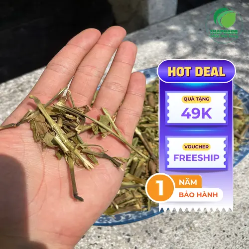 Hình ảnh Hoàn Ngọc khô được đóng gói cẩn thận tại THAPHACO
