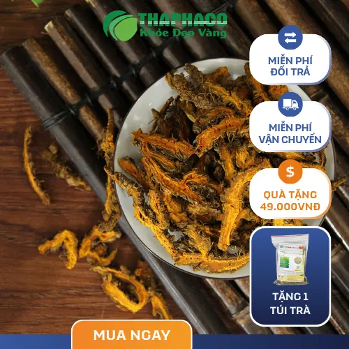 Hoàng Liên tươi nguyên củ trước khi chế biến tại Thaphaco