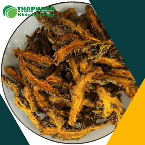 Quy trình sấy khô Hoàng Liên tại THAPHACO