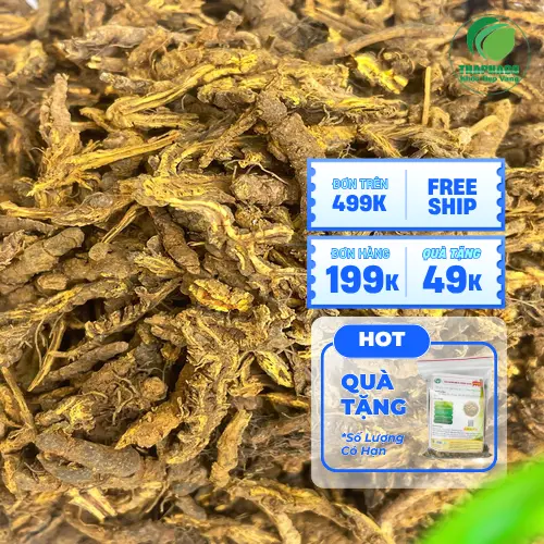 Hoàng Liên sấy khô thành phẩm chất lượng cao của Thaphaco