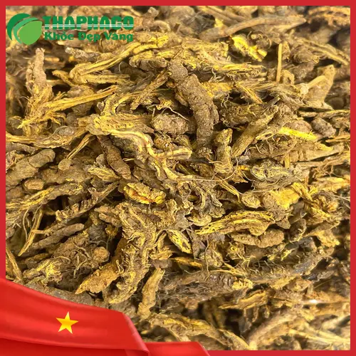 Các loại hoàng liên được chọn lọc kỹ càng tại THAPHACO