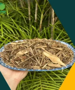 Địa chỉ bán lẻ hương nhu sấy khô tại TP.HCM