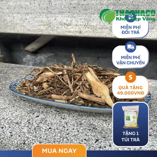 Hương Nhu Tía khô đã được sơ chế tại Thảo Dược THAPHACO