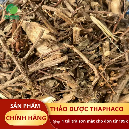 Lợi ích của hương nhu khô THAPHACO cho sức khỏe