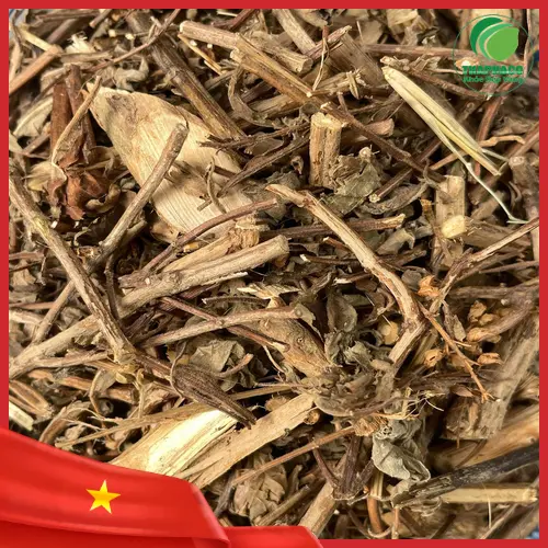 Nước gội từ Hương Nhu THAPHACO giúp tóc đen và chắc khỏe