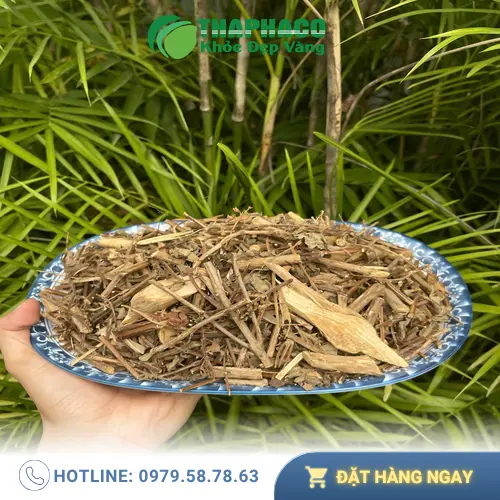 Địa chỉ mua hương nhu khô THAPHACO tại TPHCM