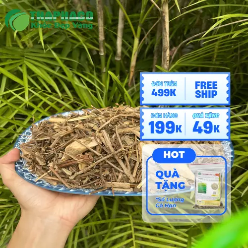 THAPHACO - Nơi mua hương nhu khô uy tín tại TP.HCM
