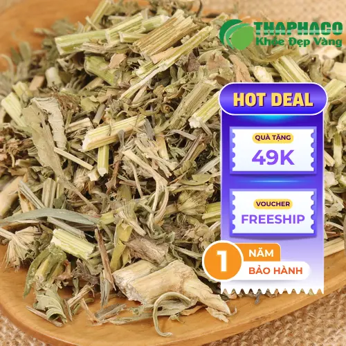 Cây ích mẫu tươi nguyên liệu tại THAPHACO