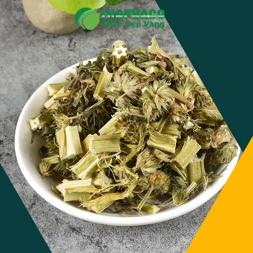 Ích mẫu sấy khô chất lượng từ Thảo Dược THAPHACO