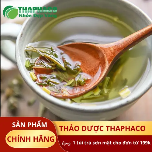 Hình ảnh ích mẫu tươi được chọn lọc cẩn thận, nguyên liệu chuẩn bị cho trà ích mẫu sấy khô chất lượng cao