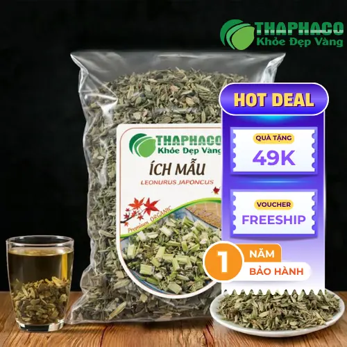 Pha trà ích mẫu sấy khô đúng cách