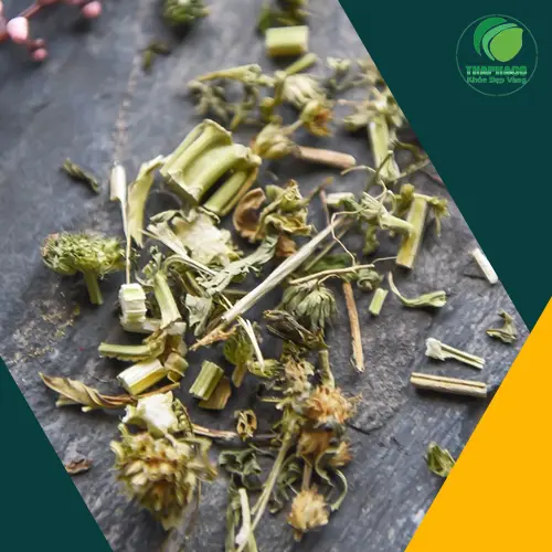 Giấy tờ kiểm định và chứng nhận chất lượng trà ích mẫu sấy khô THAPHACO