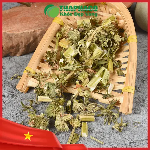 Tách trà ích mẫu sấy khô thơm ngon, dễ uống, mang lại nhiều lợi ích cho sức khỏe